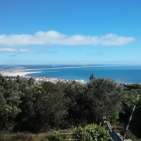 Logra-sol * فيغيورا دا فوز