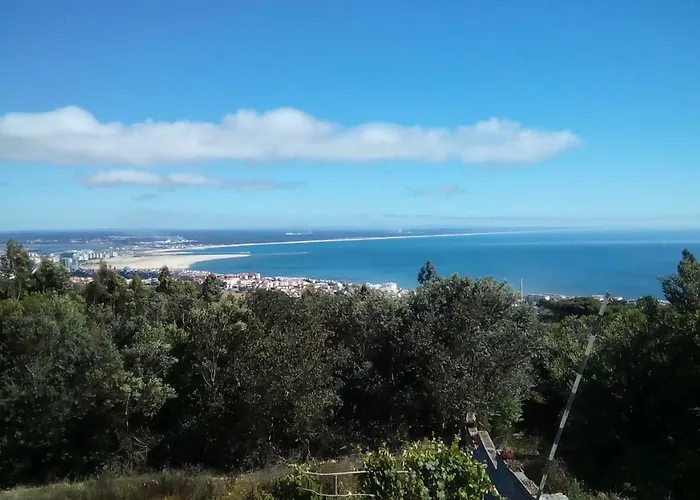 Logra-sol * فيغيورا دا فوز